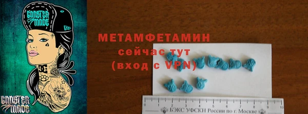 сатива Аркадак