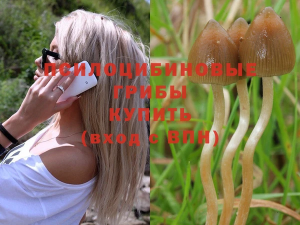 круглые Армянск