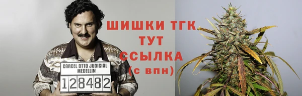 сатива Аркадак