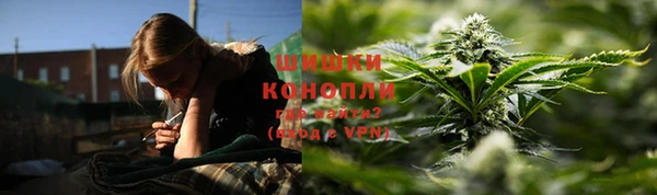 сатива Аркадак
