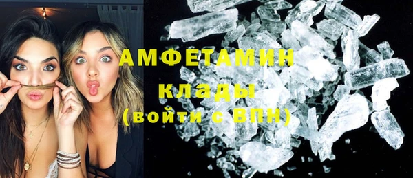 сатива Аркадак