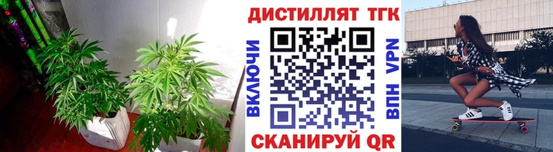 ТГК THC oil  Пыталово 