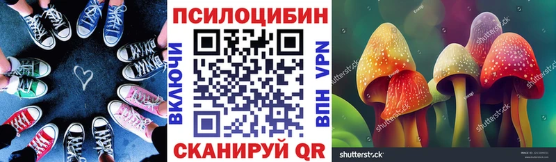 Галлюциногенные грибы Magic Shrooms  как найти закладки  Пыталово 